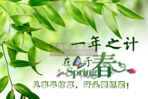 一年之计在于春  新年新机遇！