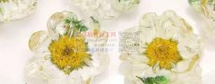 寻找如图这个扣，直径2.5公分，有订单，