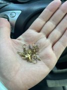 请问谁家有这样铜的A巴片？如图，联系微信