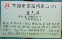 东莞市菱嘉钢饰/精密五金厂/不锈钢饰品厂家