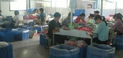 义乌联合加工网怎么样？订单多吗？能接单吗？