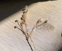 分享在义乌接手工活的经验