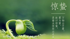 惊蛰一到，春雨绵绵，万物复苏，寓意一年之计在于春