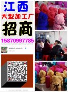江西大型加工厂招商15870997785